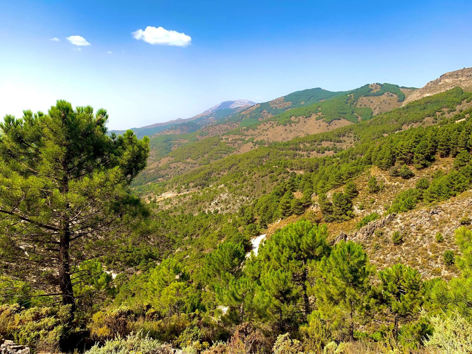 Finca El Almendro Málaga Exterior foto
